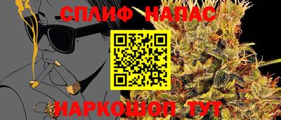 a pvp Ставрополь