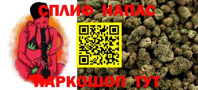 a pvp Ставрополь