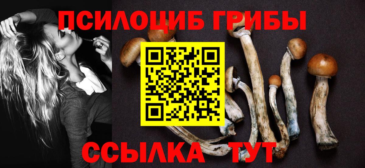 ГАШ  Ленинск-Кузнецкий  МАРИХУАНА  Мефедрон   Cocaine  Магазин наркотиков  Вход с VPN 