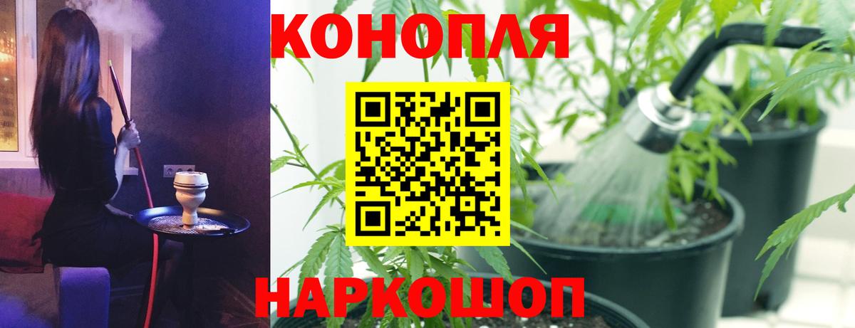 Ленинск-Кузнецкий  Канабис индика  Вход с VPN  Каннабис ГИДРОПОН  Канабис сатива 